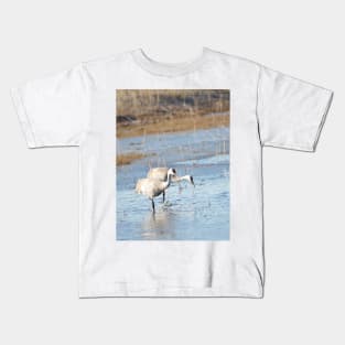 Sandhill Cranes Wading thru Malheur NWR Kids T-Shirt